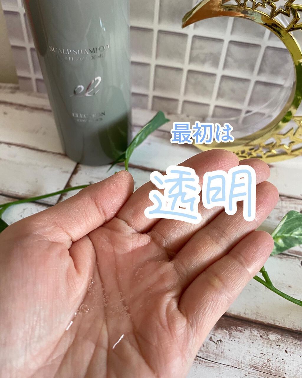 のんびりのび子 on LIPS 「🌿🌿🌿🌿🌿🌿🌿🌿🌿🌿🌿🌿🌿🌿🌿🌿🌿🌿🌿🌿🌿🌿🌿🌿🌿🌿🌿🌿🌿小さ..」(2枚目)