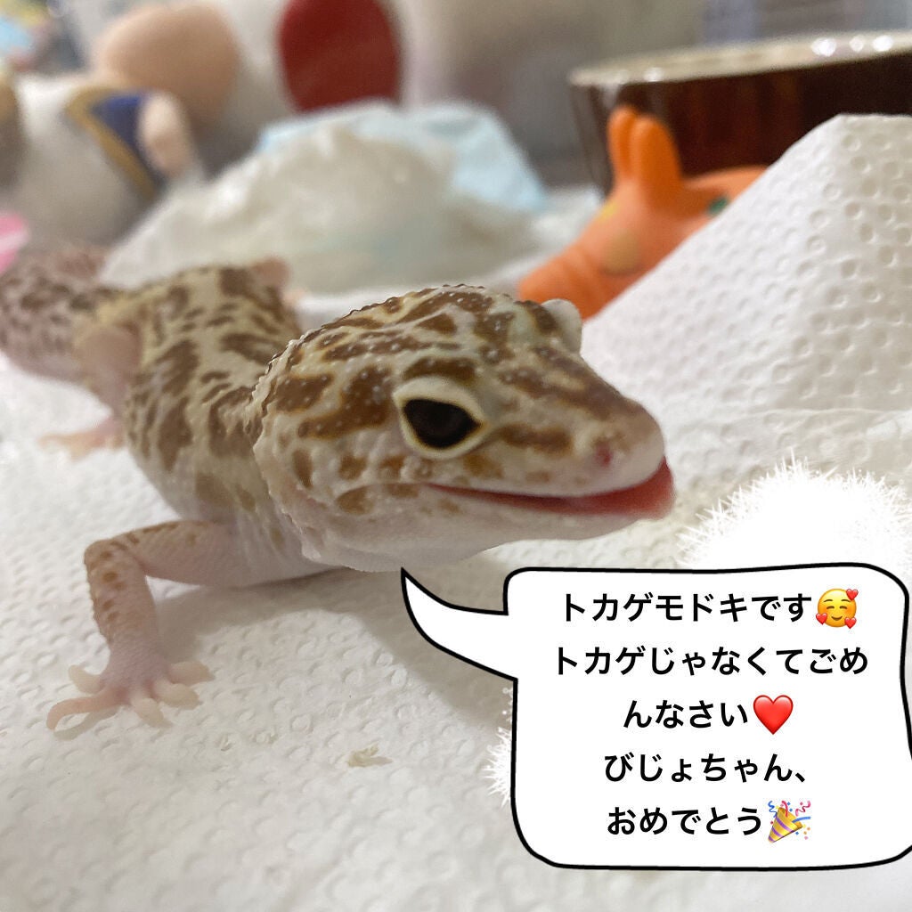 ãããð¥ on LIPS ãð4æ1æ¥ðâ»æçš¿åçã4æç®ããâç¬è«é¡âåºãŸãã®ã§ãèŠæãª..ãïŒ4æç®ïŒ