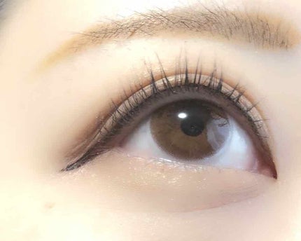 Angelcolor Bambi Series Vintage 1day/AngelColor/ワンデー(1DAY)カラコンを使ったクチコミ(3枚目)