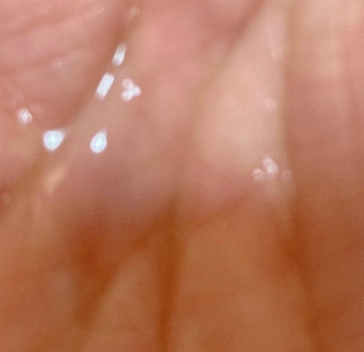 R-21 ボタニエンス ストレートヘアオイル モイスト/サンコール/ヘアオイルを使ったクチコミ(3枚目)