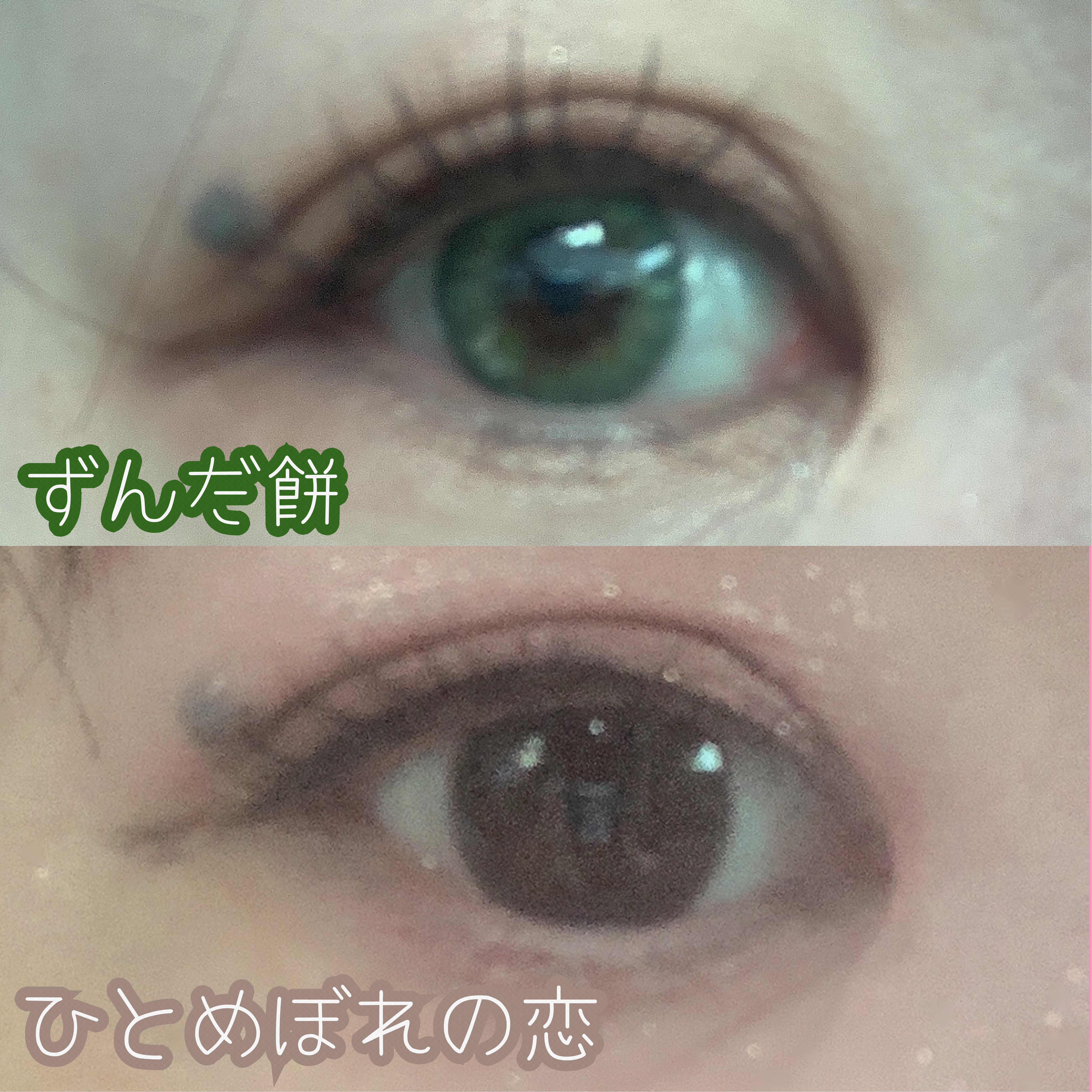 エバーカラーワンデー ナチュラル/エバーカラー/ワンデー（１DAY）カラコンを使ったクチコミ（3枚目）