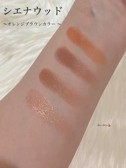 シルキースフレアイズ(マットタイプ)/キャンメイク/アイシャドウパレットを使ったクチコミ(4枚目)