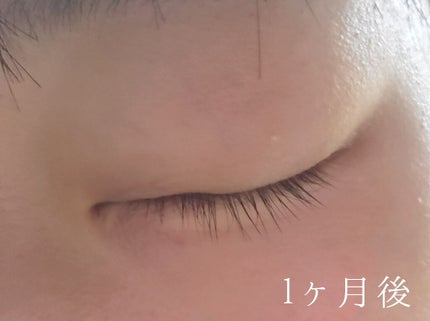 ラッシュジェリードロップ EX/MAJOLICA MAJORCA/まつげ美容液を使ったクチコミ(3枚目)