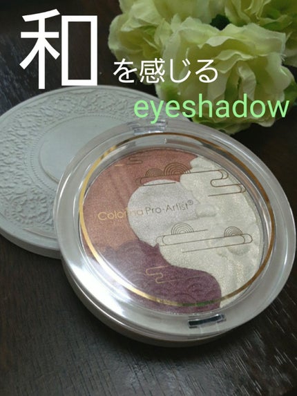 アイシャドウパレット/Colorina Pro-Artist/アイシャドウパレットを使ったクチコミ(1枚目)