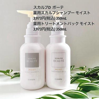 スカルプD ボーテ 薬用スカルプシャンプー（モイスト）／薬用トリートメントパック（モイスト） シャンプー350ml/アンファー(スカルプD)/シャンプー・コンディショナーを使ったクチコミ（2枚目）