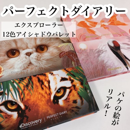 エクスプローラ12色 動物アイシャドウパレット/PERFECT DIARY/アイシャドウパレットを使ったクチコミ(2枚目)