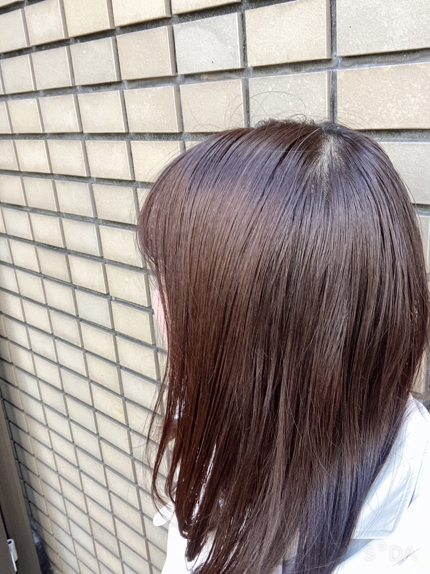 オイルインシャンプー/オイルインコンディショナー (グロス&リペア)/ディアボーテ/市販シャンプーを使ったクチコミ(2枚目)