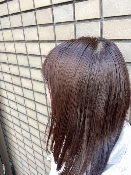 オイルインシャンプー/オイルインコンディショナー (グロス&リペア)/ディアボーテ/市販シャンプーを使ったクチコミ(2枚目)