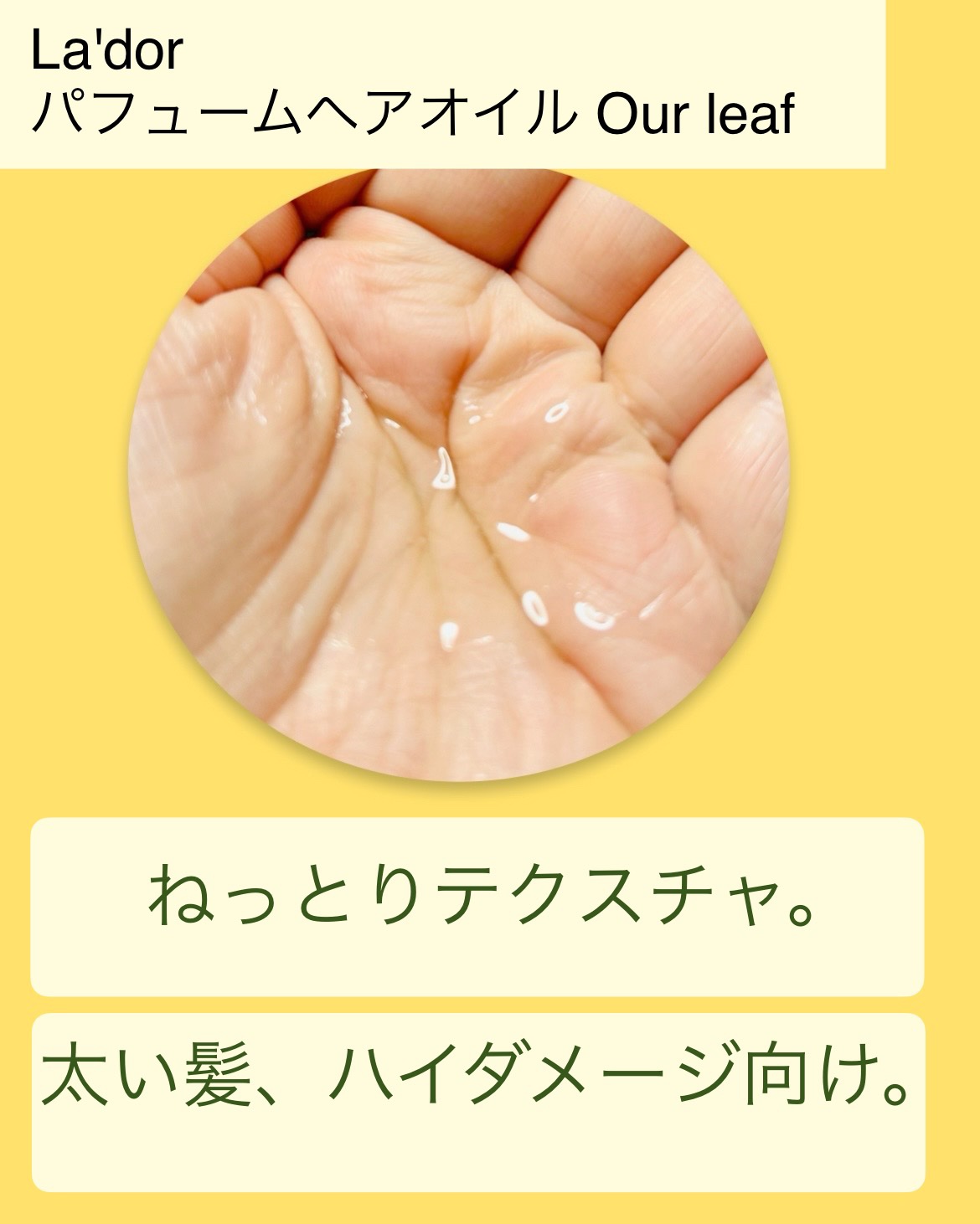 パフュームヘアオイル Our leaf/La'dor/その他スタイリングを使ったクチコミ（3枚目）