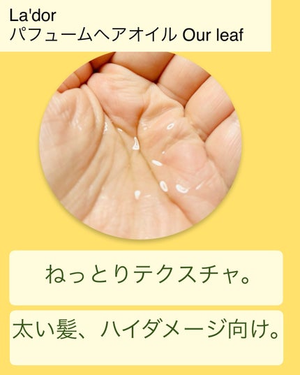パフュームヘアオイル Our leaf/La'dor/その他スタイリングを使ったクチコミ(3枚目)