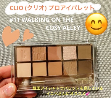 プロ アイ パレット 11 WALKING ON THE COSY ALLEY/CLIO/パウダーアイシャドウを使ったクチコミ（1枚目）