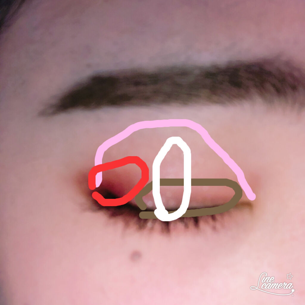 シルキースフレアイズ（マットタイプ）/キャンメイク/アイシャドウパレットを使ったクチコミ（3枚目）