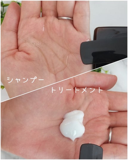 ボタニカルヘアケアシャンプー モイスト/トリートメント モイスト/KISO/市販シャンプーを使ったクチコミ(2枚目)