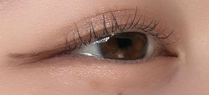 シルキースフレアイズ(マットタイプ)/キャンメイク/アイシャドウパレットを使ったクチコミ(2枚目)