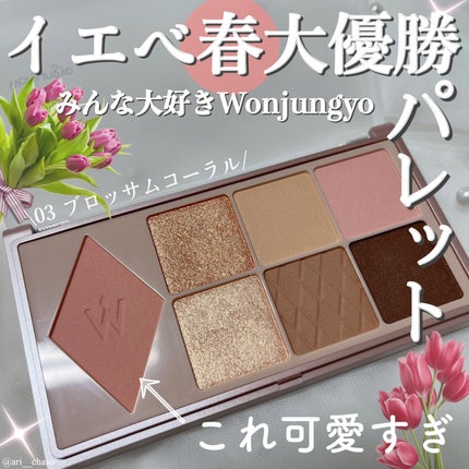 ウォンジョンヨ W デイリームードアップパレット /Wonjungyo/アイシャドウパレットを使ったクチコミ(1枚目)