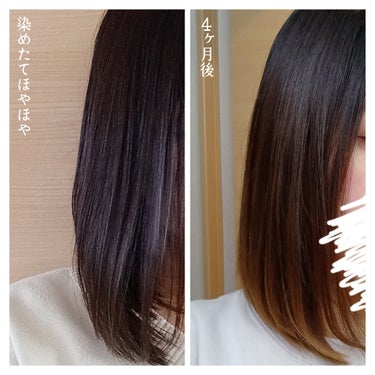 四ヶ月ぶりの美容院✂️

前回から新しい美容院に通い始めました✨

環境を変えるのって勇気がいるけど…今回の踏み出しは大成功◎
カットもカラーも、私の好みをしっかり汲み取ってくれる美容師さんに出会えた💓