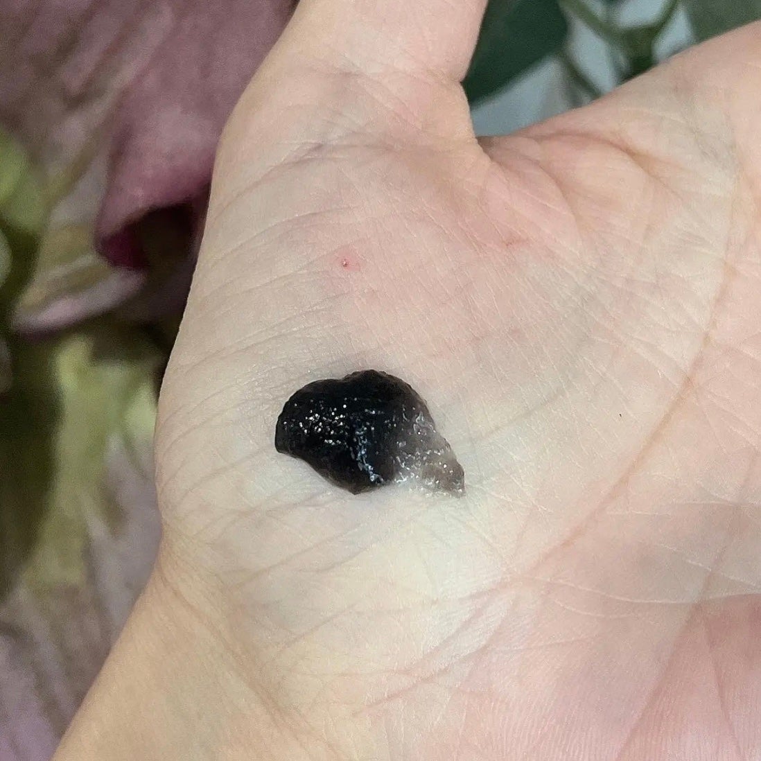 BLACK JELLY WASH(ブラックジェリーウォッシュ)/PLUEST/その他洗顔料を使ったクチコミ(3枚目)