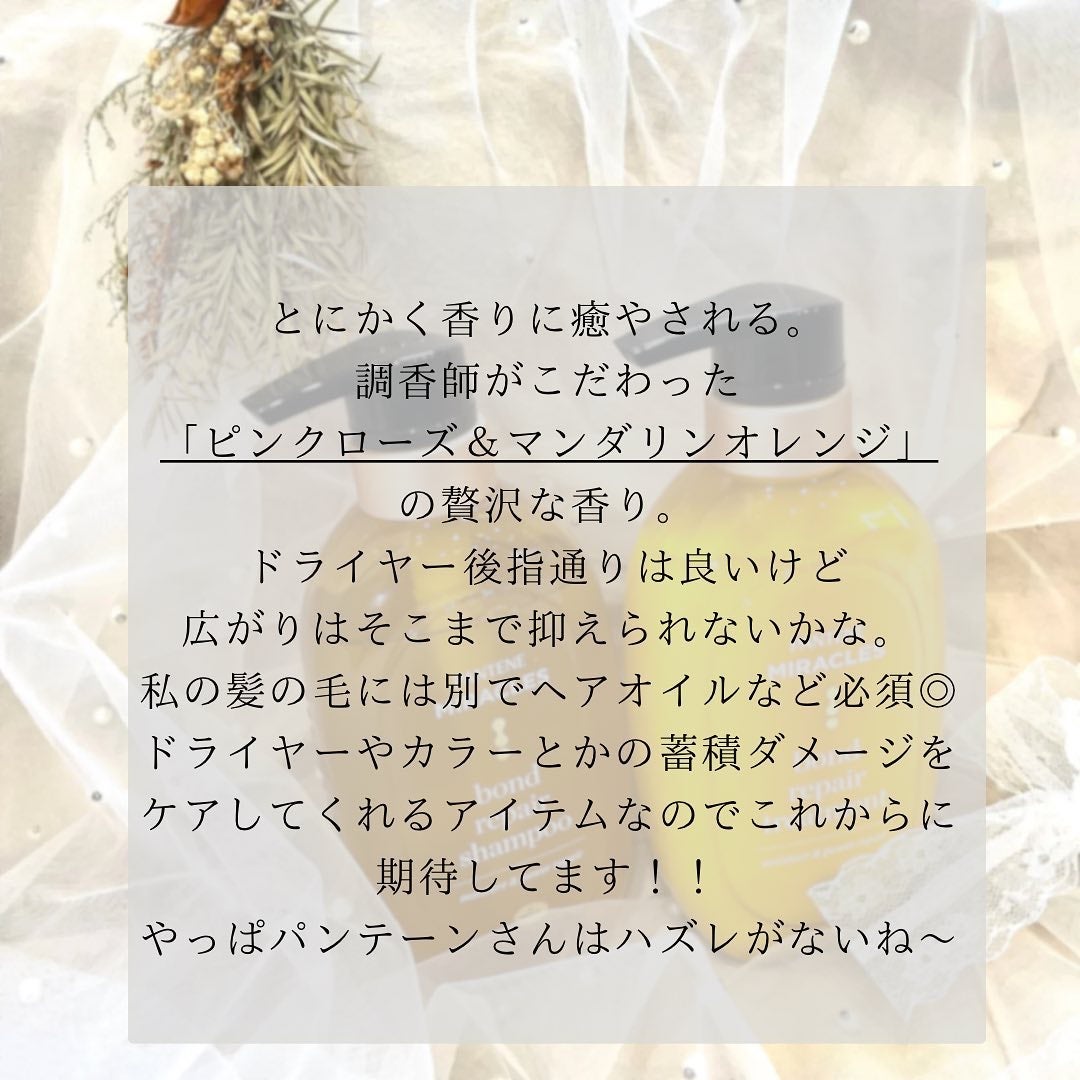 ãã³ããªãã¢ã·ãªãŒãº ã¢ã€ã¹ãã£ãŒïŒãã¯ãŒãªã㢠ã·ã£ã³ããŒïŒããªãŒãã¡ã³ã/ãã³ããŒã³/åžè²©ã·ã£ã³ããŒã䜿ã£ãã¯ãã³ãïŒ4æç®ïŒ