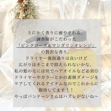 ãã³ããªãã¢ã·ãªãŒãº ã¢ã€ã¹ãã£ãŒïŒãã¯ãŒãªã㢠ã·ã£ã³ããŒïŒããªãŒãã¡ã³ã/ãã³ããŒã³/åžè²©ã·ã£ã³ããŒã䜿ã£ãã¯ãã³ãïŒ4æç®ïŒ