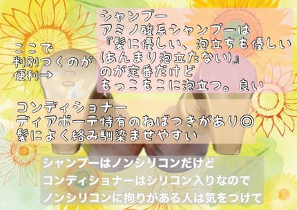 オイルインシャンプー/オイルインコンディショナー (グロス&リペア)/ディアボーテ/市販シャンプーを使ったクチコミ(2枚目)