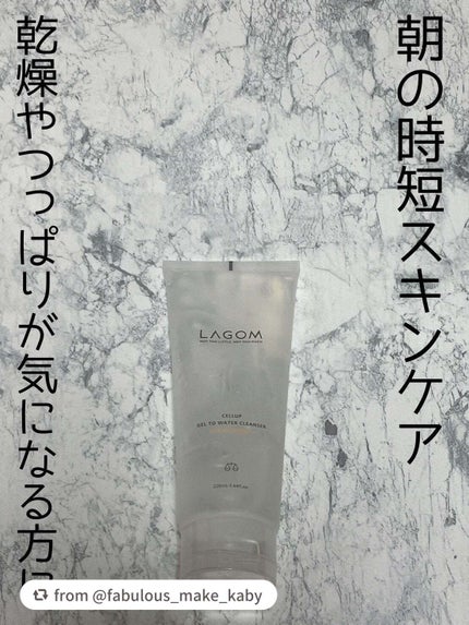 ジェルトゥウォーター クレンザー (MI)/LAGOM /その他洗顔料を使ったクチコミ(1枚目)