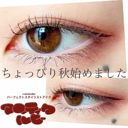 【旧品】パーフェクトスタイリストアイズ/キャンメイク/アイシャドウパレットを使ったクチコミ(1枚目)