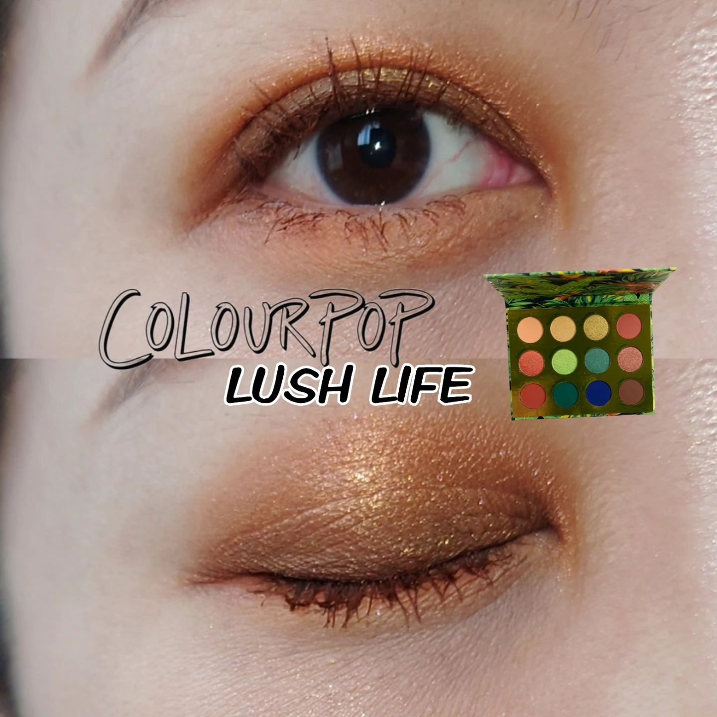  ラッシュライフ/ColourPop/アイシャドウパレットを使ったクチコミ（1枚目）