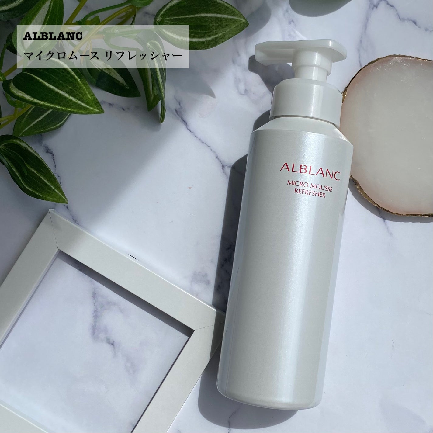 マイクロムース リフレッシャー/ALBLANC/泡洗顔を使ったクチコミ(2枚目)