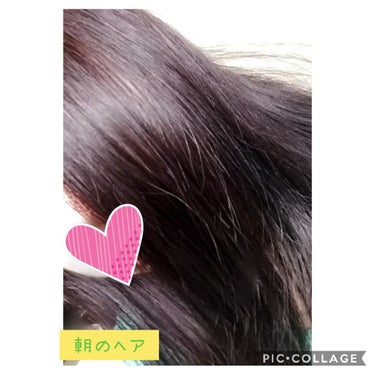 エルジューダ サントリートメントセラム/エルジューダ/ヘアオイルを使ったクチコミ（1枚目）