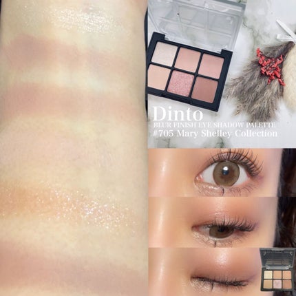 ブラーフィニシュシャドウパレット/Dinto/アイシャドウパレットを使ったクチコミ(5枚目)