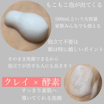 世界の果実 すっきり泡洗顔/世界の果実/泡洗顔を使ったクチコミ(2枚目)