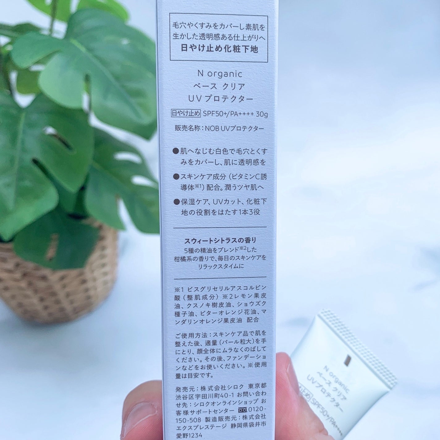 ããŒã¹ ã¯ãªã¢UVãããã¯ã¿ãŒ/ organic/æ¥çŒãæ¢ãã¯ãªãŒã ã䜿ã£ãã¯ãã³ãïŒ10æç®ïŒ