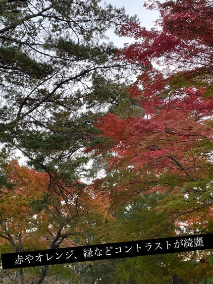 クチュール ミニ クラッチ/YVES SAINT LAURENT BEAUTE/アイシャドウパレットを使ったクチコミ(3枚目)