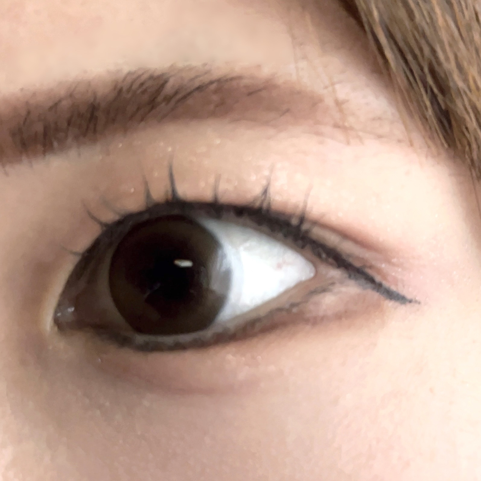 アイライナー 01 キャビアブラック/Étoile Rose/リキッドアイライナーを使ったクチコミ（1枚目）