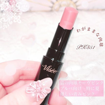 ネンマクフェイク ルージュ/Visée/口紅を使ったクチコミ(2枚目)