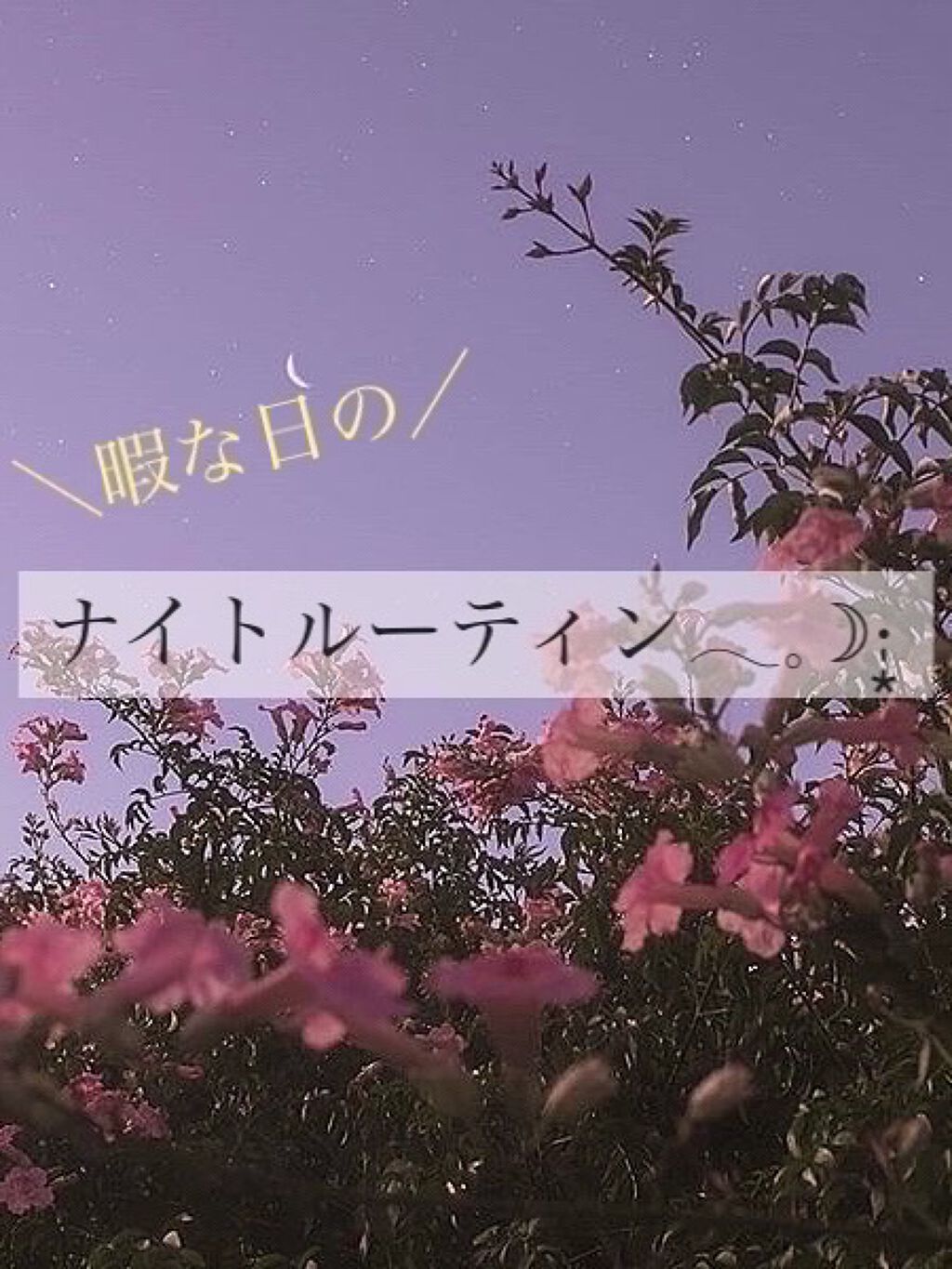 コンパクトスタイラー/TANGLE TEEZER/ヘアブラシを使ったクチコミ（1枚目）