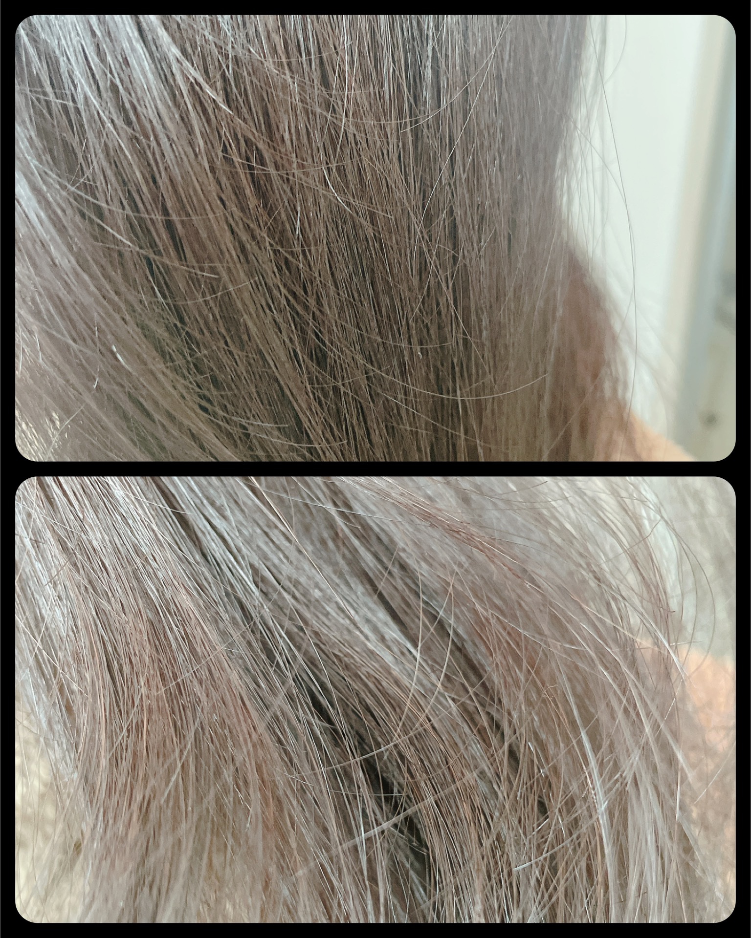 クリーミーベールヘアミスト ブロッサムダン/narka/ヘアミストを使ったクチコミ（3枚目）