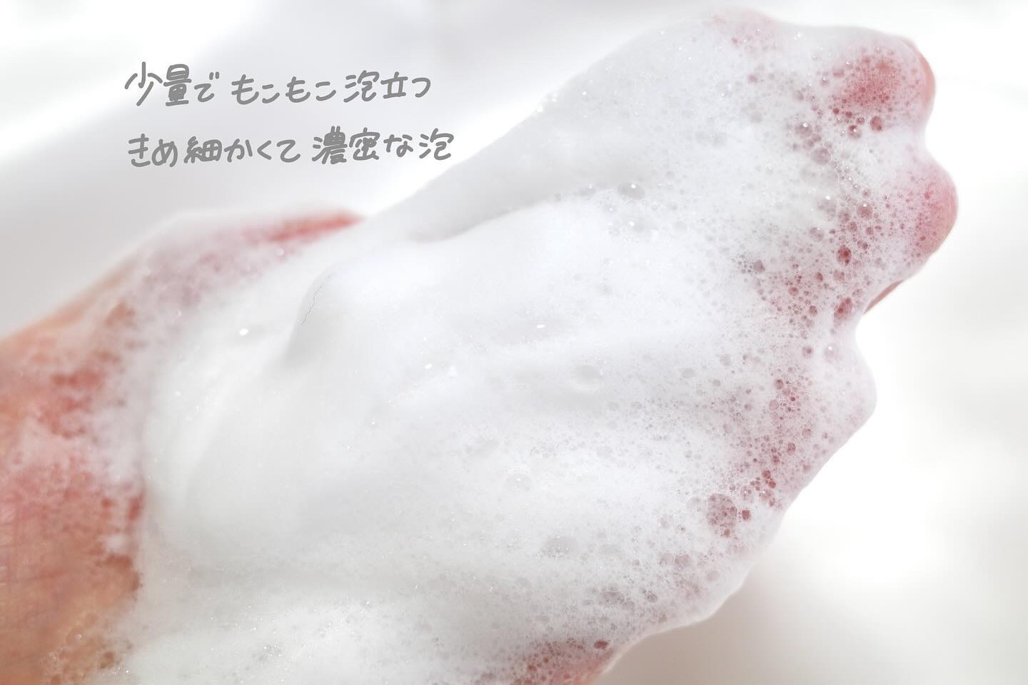 クレイ ブラン　ハーバル フェイスウォッシュ/DECORTÉ/洗顔フォームを使ったクチコミ（3枚目）