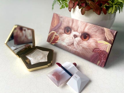 エクスプローラ12色 動物アイシャドウパレット/PERFECT DIARY/アイシャドウパレットを使ったクチコミ(1枚目)