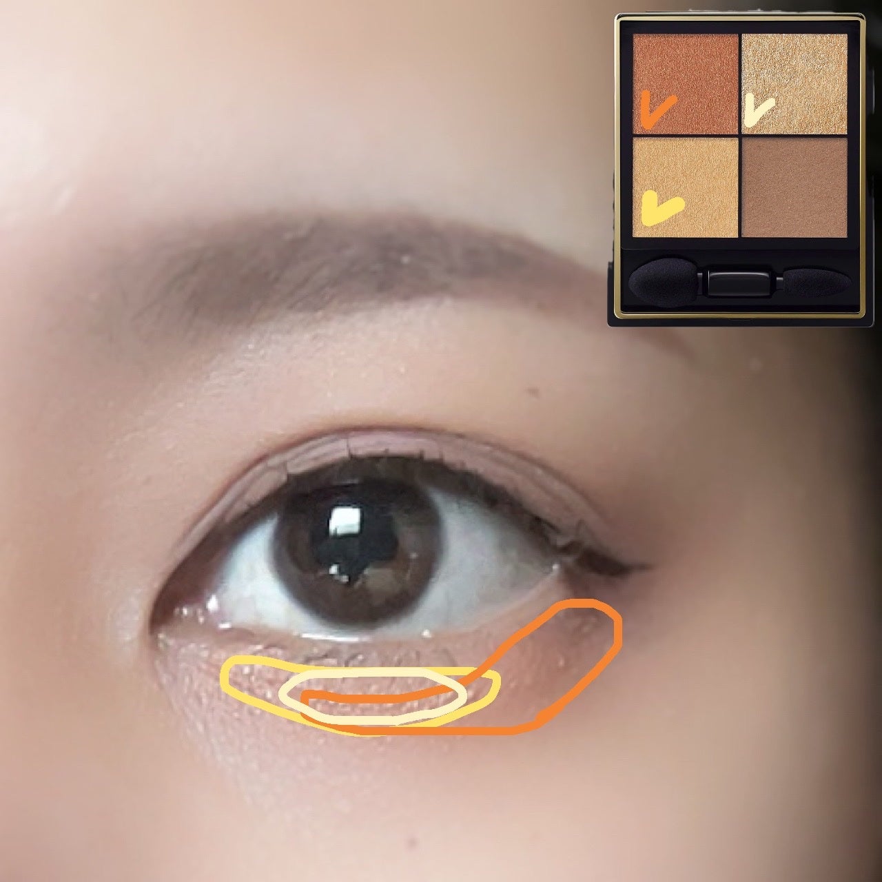 リアルクローズシャドウ/excel/アイシャドウパレットを使ったクチコミ(5枚目)