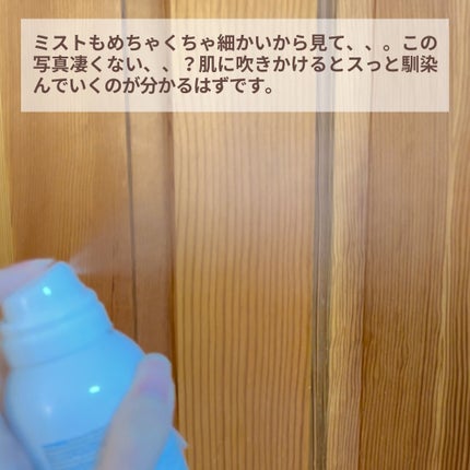 ターマルウォーター/ラ ロッシュ ポゼ/ミスト状化粧水を使ったクチコミ(4枚目)