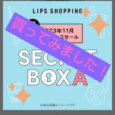 【2023年11月 クリアランスセール】シークレットボックス A/LIPS/その他キットセットを使ったクチコミ（1枚目）