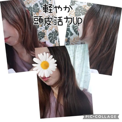 パワードバイモジェリムシャンプー/MOJELIM/市販シャンプーを使ったクチコミ(1枚目)