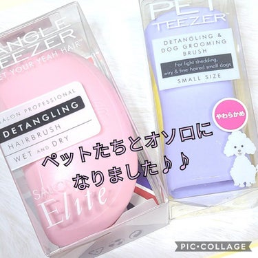 サロンエリート ラベンダーピンク/TANGLE TEEZER/ヘアブラシを使ったクチコミ（3枚目）