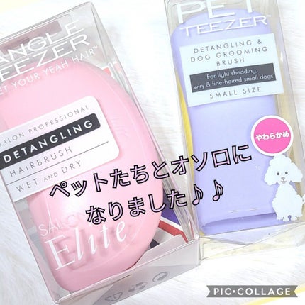 サロンエリート/TANGLE TEEZER/ヘアブラシを使ったクチコミ(3枚目)