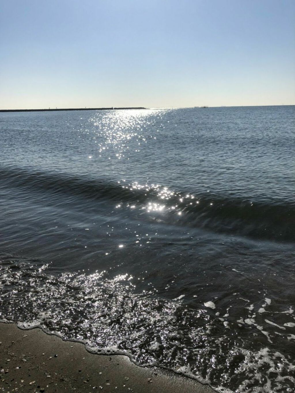 にゃーにゃ一団 on LIPS 「昨日、今日は仕事が休みでグータラしちゃってる😲外はお天気で🍀😌..」(1枚目)