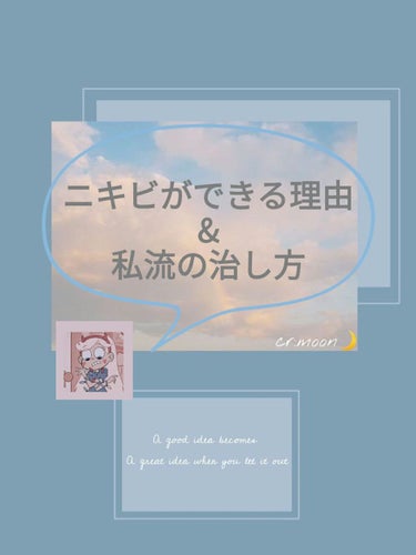 ハトムギ化粧水(ナチュリエ スキンコンディショナー R )/ナチュリエ/化粧水を使ったクチコミ（1枚目）