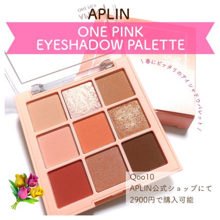 ワンピックアイシャドウパレット/APLIN/アイシャドウパレットを使ったクチコミ(1枚目)