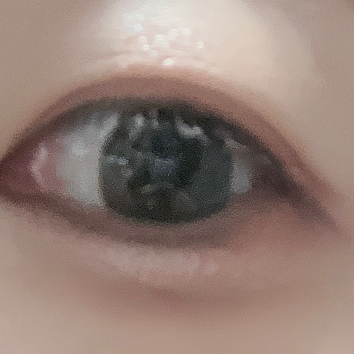 プランぷくコーデアイズ/キャンメイク/パウダーアイシャドウを使ったクチコミ（3枚目）