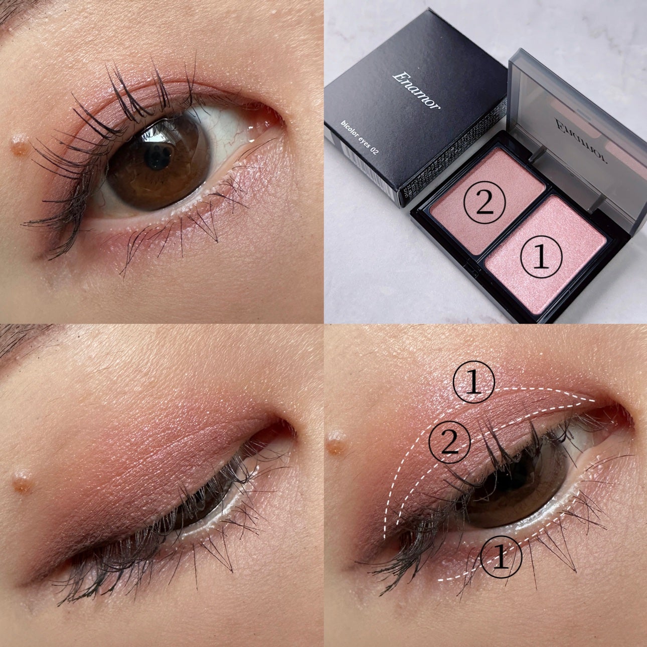 バイカラーアイズ/Enamor/アイシャドウパレットを使ったクチコミ(5枚目)